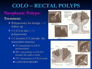 COLO – RECTAL POLYPS <ul><li>Neoplastic Polyps: </li></ul><ul><li>Treatment: </li></ul><ul><ul><li>Polypectomy for benign ...