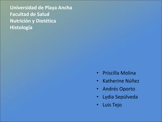 Universidad de Playa Ancha  Facultad de Salud Nutrición y Dietética Histología ,[object Object],[object Object],[object Object],[object Object],[object Object]