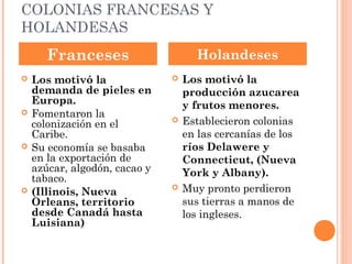 COLONIAS FRANCESAS Y
HOLANDESAS
 Los motivó la
demanda de pieles en
Europa.
 Fomentaron la
colonización en el
Caribe.
 Su economía se basaba
en la exportación de
azúcar, algodón, cacao y
tabaco.
 (Illinois, Nueva
Orleans, territorio
desde Canadá hasta
Luisiana)
 Los motivó la
producción azucarea
y frutos menores.
 Establecieron colonias
en las cercanías de los
ríos Delawere y
Connecticut, (Nueva
York y Albany).
 Muy pronto perdieron
sus tierras a manos de
los ingleses.
Franceses Holandeses
 