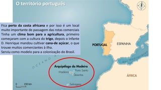 O território português
Fica perto da costa africana e por isso é um local
muito importante de passagem das rotas comerciais
Tinha um clima bom para a agricultura, primeiro
começaram com a cultura do trigo, depois o Infante
D. Henrique mandou cultivar cana-de açúcar, o que
trouxe muitos comerciantes à ilha.
Serviu como modelo para a colonização do Brasil.
 