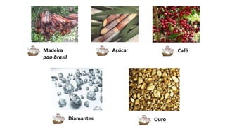 Madeira
pau-brasil
Açúcar
Diamantes
Café
Ouro
 