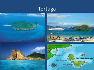 Tortuga
.
 