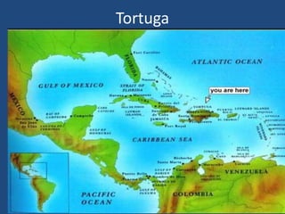 Tortuga
 