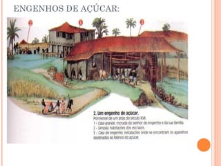 ENGENHOS DE AÇÚCAR:
 