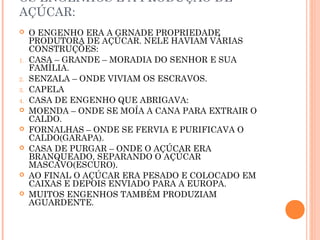OS ENGENHOS E A PRODUÇÃO DE
AÇÚCAR:
 O ENGENHO ERA A GRNADE PROPRIEDADE
PRODUTORA DE AÇÚCAR. NELE HAVIAM VÁRIAS
CONSTRUÇÕES:
1. CASA – GRANDE – MORADIA DO SENHOR E SUA
FAMÍLIA.
2. SENZALA – ONDE VIVIAM OS ESCRAVOS.
3. CAPELA
4. CASA DE ENGENHO QUE ABRIGAVA:
 MOENDA – ONDE SE MOÍA A CANA PARA EXTRAIR O
CALDO.
 FORNALHAS – ONDE SE FERVIA E PURIFICAVA O
CALDO(GARAPA).
 CASA DE PURGAR – ONDE O AÇÚCAR ERA
BRANQUEADO, SEPARANDO O AÇÚCAR
MASCAVO(ESCURO).
 AO FINAL O AÇÚCAR ERA PESADO E COLOCADO EM
CAIXAS E DEPOIS ENVIADO PARA A EUROPA.
 MUITOS ENGENHOS TAMBÉM PRODUZIAM
AGUARDENTE.
 
