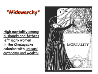 “ Widowarchy ” High mortality among husbands and fathers  left many women  in the Chesapeake colonies with  unusual autonomy and wealth! 