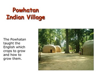 Powhatan Indian Village The Powhatan taught the English which crops to grow and how to grow them. 