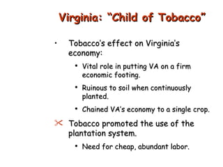 Tobacco’s effect on Virginia’s economy: Vital role in putting VA on a firm economic footing. Ruinous to soil when continuously planted. Chained VA’s economy to a single crop. Tobacco promoted the use of the plantation system. Need for cheap, abundant labor. Virginia: “Child of Tobacco” 