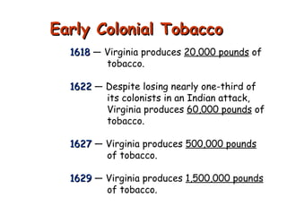 Early Colonial Tobacco 1618  — Virginia produces  20,000 pounds  of    tobacco. 1622  — Despite losing nearly one-third of    its colonists in an Indian attack,   Virginia produces  60,000 pounds  of   tobacco. 1627  — Virginia produces  500,000 pounds   of tobacco. 1629  — Virginia produces  1,500,000 pounds     of tobacco. 