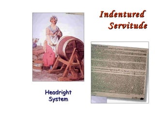 Indentured  Servitude Headright System 