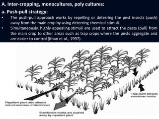 Colonization of natural enemies | PPTX