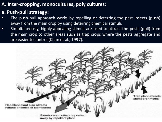 Colonization of natural enemies