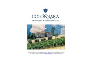 COLONNARA s.c.a. ,Via Mandriole 6, 60034 CUPRAMONTANA (AN)
tel. +390731780273 e-mail: info@colonnara.it - www.colonnara.it
 