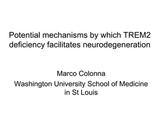 Potential mechanisms by which TREM2
deficiency facilitates neurodegeneration
Marco Colonna
Washington University School of Medicine
in St Louis
 