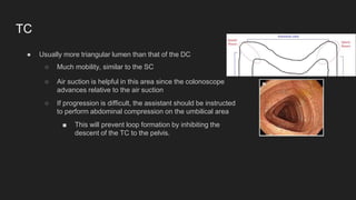 Colonoscopy | PPTX