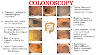 Colonoscopy- A Pictorial Overview | PPT