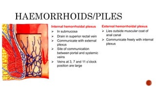 Internal hemorrhoidal plexus
 In submucosa
 Drain in superior rectal vein
 Communicate with external
plexus
 Site of communication
between portal and systemic
veins
 Veins at 3, 7 and 11 o’clock
position are large
External hemorrhoidal plexus
 Lies outside muscular coat of
anal canal
 Communicate freely with internal
plexus
 