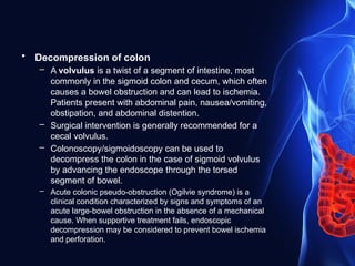Comprehensive Overview of Colonoscopy and Sigmoidoscopy Procedures and ...