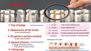 colonoscopy polyp detection characterization and maagment.pptx