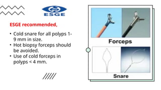 Cold Foreceps colonoscopy polyp detection characterization and maagment.pptx