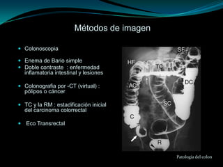 Métodos de imagen

 Colonoscopia

 Enema de Bario simple
 Doble contraste : enfermedad
  inflamatoria intestinal y lesiones

 Colonografia por -CT (virtual) :
  pólipos o cáncer

 TC y la RM : estadificación inicial
  del carcinoma colorrectal

 Eco Transrectal




                                           Patología del colon
 