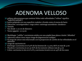ADENOMA VELLOSO
 pólipos adenomatosos que contiene Sobre todo vellosidades ("velloso" significa
  "superficie peluda")
 lesión polipoide con una superficie nodular o fronda-como el enema de bario
 Ubicación: rectosigmoideo> ciego colon> estómago ascendente> duodeno>
 Tamaño
 Van desde <1.10 cm de diámetro
 Tumor gigante : 10-15 cm

 Morfología: "coliflor" crecimiento sésiles con una amplia base plana o lesión "alfombra“
 Adenoma velloso tiene mayor riesgo de degeneración maligna
 El riesgo de cáncer está relacionado con la proporción de cambio de las vellosidades en el
  adenoma
 riesgo de carcinoma en:
 Estómago: Carcinoma en el 50% de las lesiones de 2-4 cm y 80% en más de 4 cm
 Duodeno: Carcinoma en un 30-60% de los tumores vellosos más de 4 cm
 Colon: carcinoma in situ en el 10% y carcinoma invasivo en un 45% de los casos
 