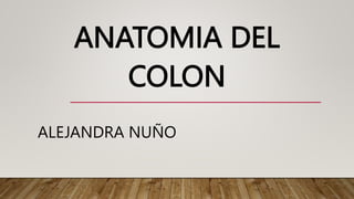 ANATOMIA DEL
COLON
ALEJANDRA NUÑO
 