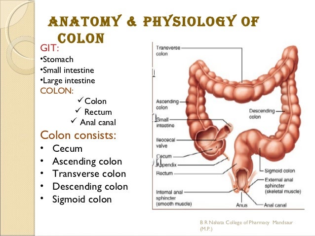 Colon specific drug delivery