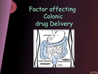 Factor affecting
Colonic
drug Delivery
(11/75)
 