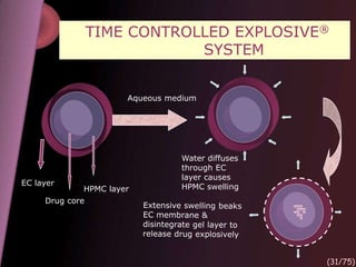 TIME CONTROLLED EXPLOSIVE®
SYSTEM
Drug core
HPMC layer
EC layer
Aqueous medium
Water diffuses
through EC
layer causes
HPMC swelling
(31/75)
 
