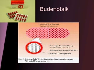 Budenofalk
 