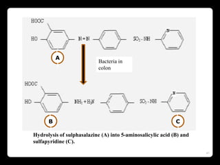 41
Bacteria in
colon
Hydrolysis of sulphasalazine (A) into 5-aminosalicylic acid (B) and
sulfapyridine (C).
(
A
)
(
B
)
(
C
)
 