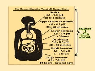 Lag phase
of
~ 5 h is
observed.
 