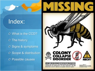 Colony collapse disorder | PPTX