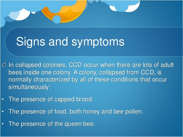 colony collapse disorder Colony collapse disorder killed 40% of bees last year that costs the us economy billions it's caused by pesticides is the government doing enough. colony collapse disorder Colony collapse disorder killed 40% of bees last year that costs the us economy billions it's caused by pesticides is the government doing enough.