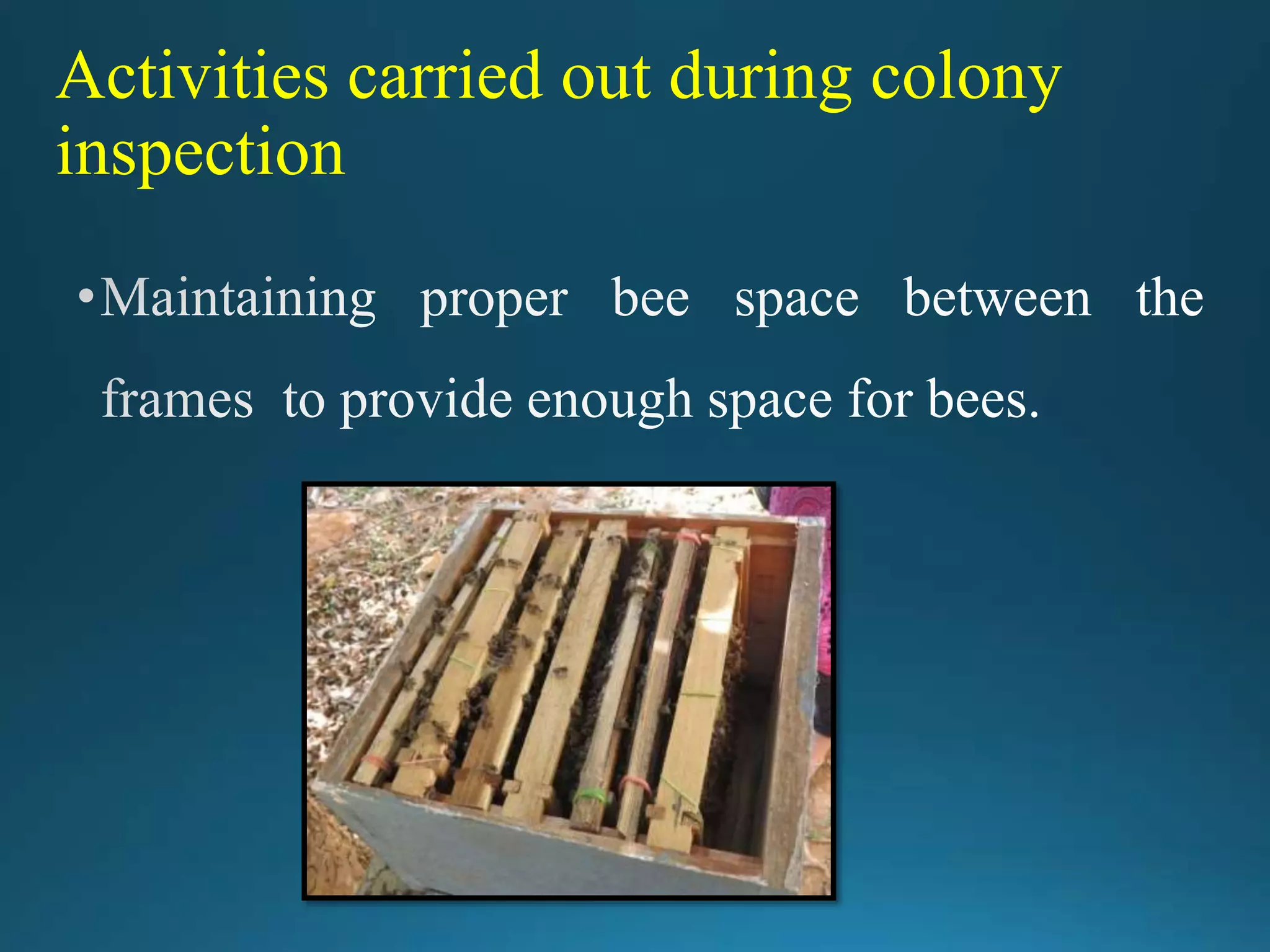 colony_examination_.pptx