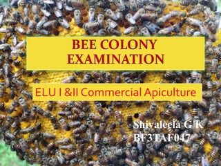 BEE COLONY
EXAMINATION
ELU I &II Commercial Apiculture
Shivaleela G K
BF3TAF047
 