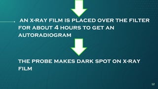 an x-ray film is placed over the filter
for about 4 hours to get an
autoradiogram
the probe makes dark spot on x-ray
film
12
 