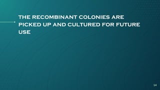 the recombinant colonies are
picked up and cultured for future
use
14
 