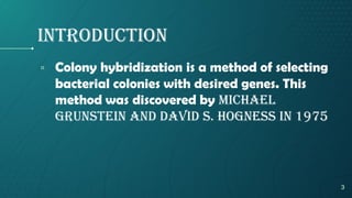 introduction
▫ Colony hybridization is a method of selecting
bacterial colonies with desired genes. This
method was discovered by Michael
Grunstein and David S. Hogness in 1975
3
 