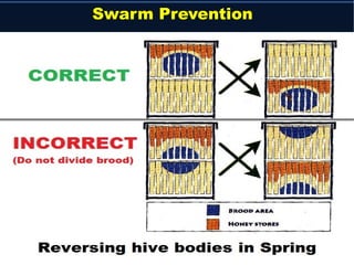 Swarm Prevention
 