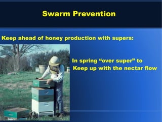 Keep ahead of honey production with supers:
In spring “over super” to
Keep up with the nectar flow
Swarm Prevention
 