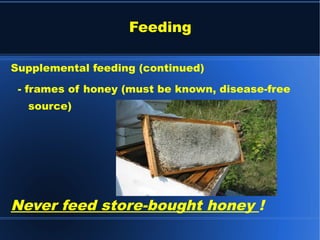 Supplemental feeding (continued)
- frames of honey (must be known, disease-free
source)
Never feed store-bought honey !
Feeding
 