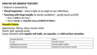 COLONY MORPHOLOGY AND ARRANGEMENT OF BACTERIAL CELLS.pptx
