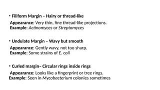 Undulate Example COLONY MORPHOLOGY AND ARRANGEMENT OF BACTERIAL CELLS.pptx