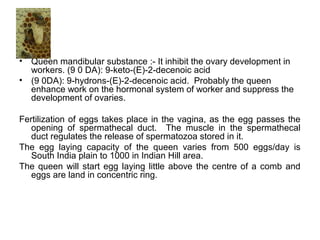 • Queen mandibular substance :- It inhibit the ovary development in
workers. (9 0 DA): 9-keto-(E)-2-decenoic acid
• (9 0DA): 9-hydrons-(E)-2-decenoic acid. Probably the queen
enhance work on the hormonal system of worker and suppress the
development of ovaries.
Fertilization of eggs takes place in the vagina, as the egg passes the
opening of spermathecal duct. The muscle in the spermathecal
duct regulates the release of spermatozoa stored in it.
The egg laying capacity of the queen varies from 500 eggs/day is
South India plain to 1000 in Indian Hill area.
The queen will start egg laying little above the centre of a comb and
eggs are land in concentric ring.
 