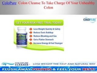 ColoPure  Colon Cleanse To Take Charge Of Your Unhealthy Colon 