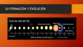 SU FORMACIÓN Y EVOLUCIÓN