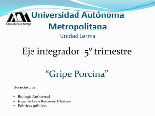 Universidad Autónoma
              Metropolitana
                          Unidad Lerma

     Eje integrador 5° trimestre

                  “Gripe Porcina”
Licenciaturas:

• Biología Ambiental
• Ingeniería en Recursos Hídricos
• Políticas públicas
 