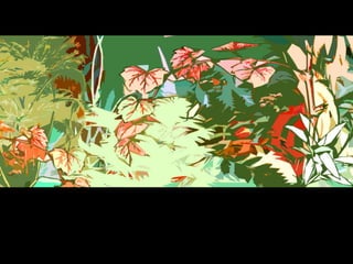 Visual Elements COLOR de Beaufort